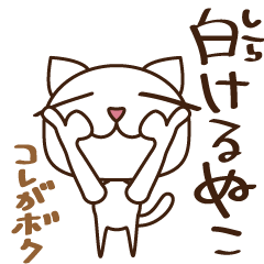 白けるぬこ