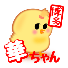 ひよこの「華ちゃん」