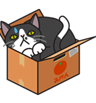 猫のプライベート（個別スタンプ：13）