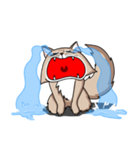 019