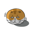 ねこたま（Ball Cat）NEKOTAMA（個別スタンプ：30）