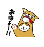 ねこいぬ（個別スタンプ：1）