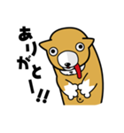 ねこいぬ（個別スタンプ：11）