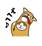 ねこいぬ（個別スタンプ：16）