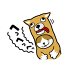 ねこいぬ（個別スタンプ：17）