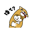 ねこいぬ（個別スタンプ：18）