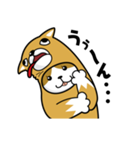 ねこいぬ（個別スタンプ：19）