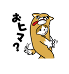 ねこいぬ（個別スタンプ：35）