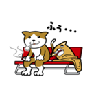 ねこいぬ（個別スタンプ：37）