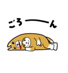 ねこいぬ（個別スタンプ：38）