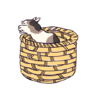 浮世絵ねこ（個別スタンプ：39）