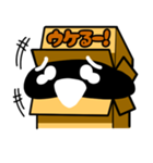 箱くん（個別スタンプ：17）