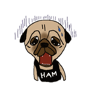 パグ犬ハムオ（個別スタンプ：4）