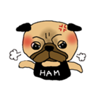 パグ犬ハムオ（個別スタンプ：11）