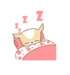 Chiwanwan sticker 2（個別スタンプ：37）