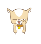 Chiwanwan sticker 1（個別スタンプ：13）