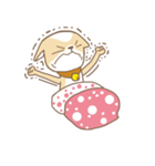 Chiwanwan sticker 1（個別スタンプ：28）