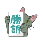 NO CAT NO LIFE サトヲ猫スタンプ（個別スタンプ：28）