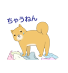 動物スタンプ（個別スタンプ：33）