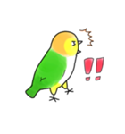 NO BIRD, NO LIFE（個別スタンプ：19）