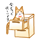 ななおとナターシャ（個別スタンプ：30）