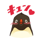 ずばり！ペンギン（個別スタンプ：10）