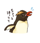 ずばり！ペンギン（個別スタンプ：29）