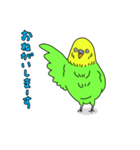 インコちゃんの人間言葉（個別スタンプ：2）