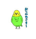 インコちゃんの人間言葉（個別スタンプ：3）