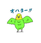 インコちゃんの人間言葉（個別スタンプ：16）