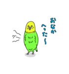 インコちゃんの人間言葉（個別スタンプ：24）