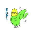 インコちゃんの人間言葉（個別スタンプ：28）