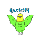 インコちゃんの人間言葉（個別スタンプ：31）