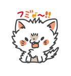 ねこづくしスタンプ（個別スタンプ：5）