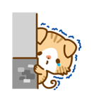 ねこづくしスタンプ（個別スタンプ：14）