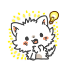 ねこづくしスタンプ（個別スタンプ：31）