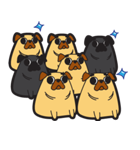 pug pug PAN（個別スタンプ：40）