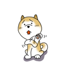 日本犬 マルちゃん（個別スタンプ：31）