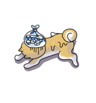日本犬 マルちゃん（個別スタンプ：32）