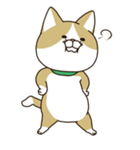 ななねこ（個別スタンプ：7）