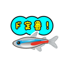 熱帯魚の仲間達（個別スタンプ：2）