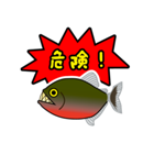 熱帯魚の仲間達（個別スタンプ：7）