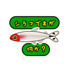 熱帯魚の仲間達（個別スタンプ：10）