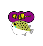 熱帯魚の仲間達（個別スタンプ：15）