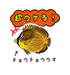 熱帯魚の仲間達（個別スタンプ：33）