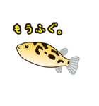 熱帯魚の仲間達（個別スタンプ：36）