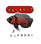 熱帯魚の仲間達（個別スタンプ：37）