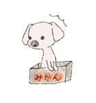 マルチーズと一緒～のらの1日～（個別スタンプ：6）