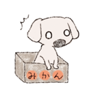 マルチーズと一緒～のらの1日～（個別スタンプ：19）