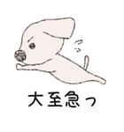 マルチーズと一緒～のらの1日～（個別スタンプ：24）